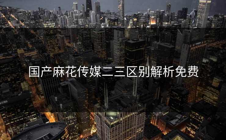 国产麻花传媒二三区别解析免费