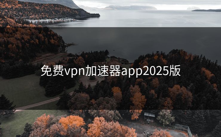 免费vpn加速器app2025版