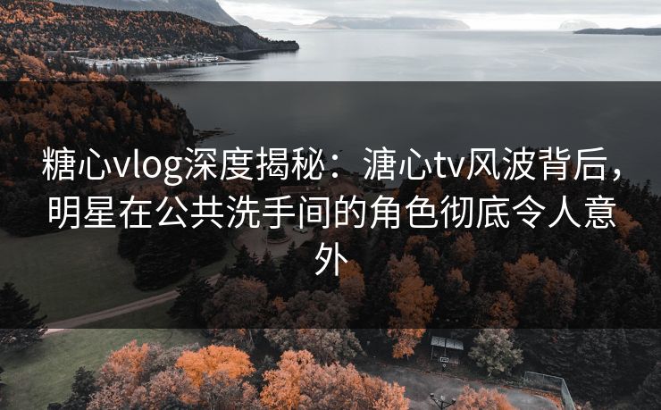 糖心vlog深度揭秘：溏心tv风波背后，明星在公共洗手间的角色彻底令人意外