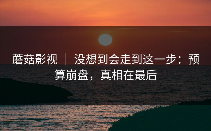 蘑菇影视 | 没想到会走到这一步:预算崩盘,真相在最后 蘑菇影视 | 没想到会走到这一步:预算崩盘,真相在最后