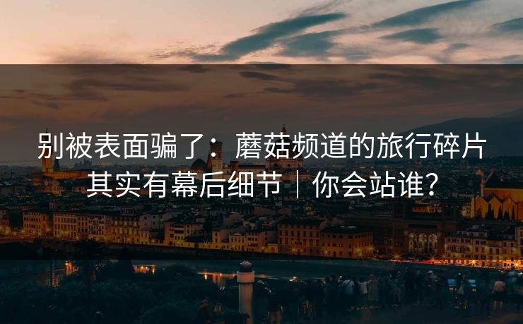 别被表面骗了：蘑菇频道的旅行碎片其实有幕后细节｜你会站谁？